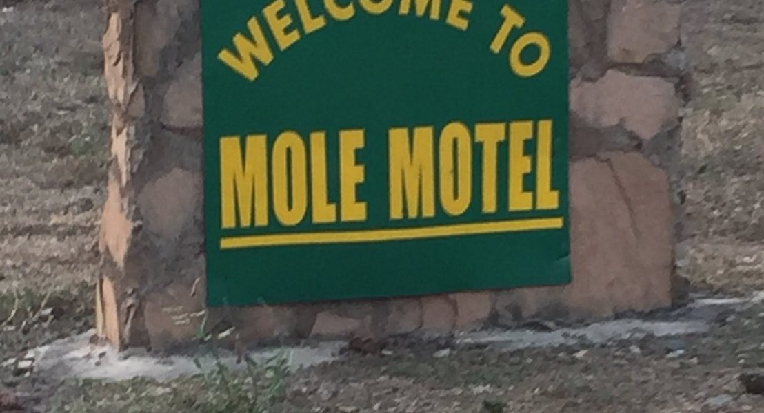 Mole Motel