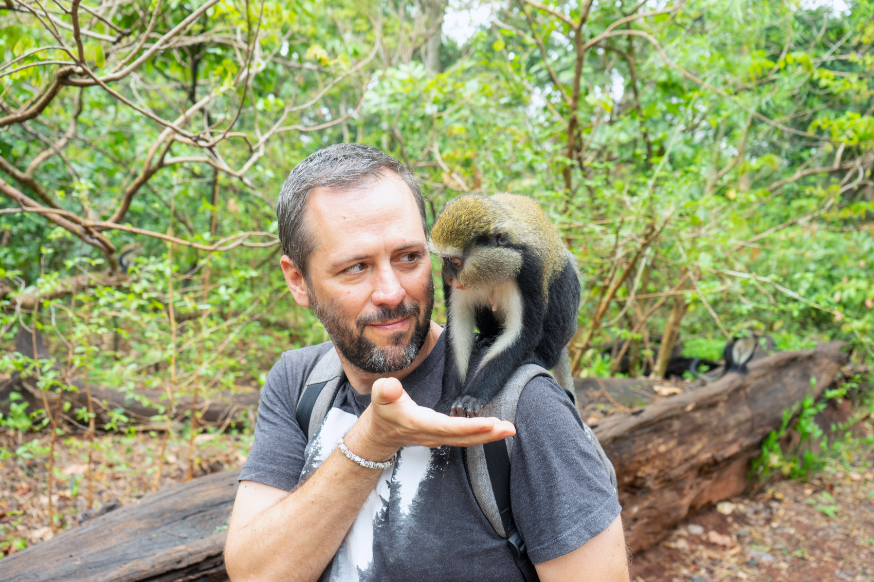 Day 13: Boabeng Fiema Monkey Sanctuary - Techiman - January 18, 2022