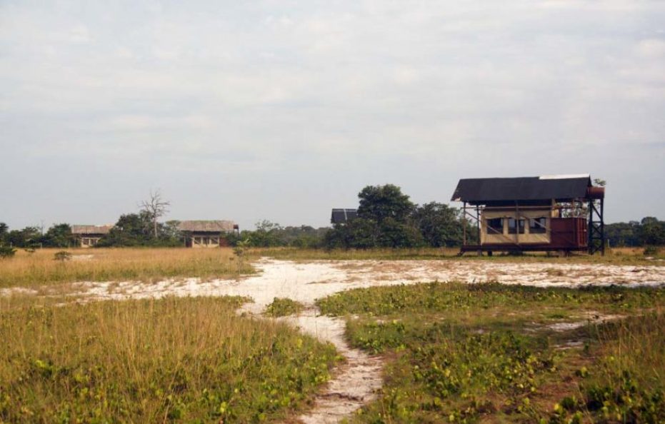 Tassi Camp