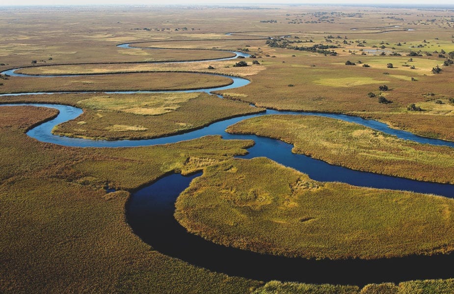 Day 10 Moremi Game Reserve - Okavango Delta