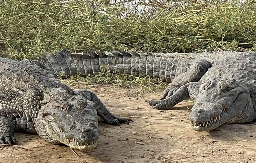 The Best of Ghana – 12 Days