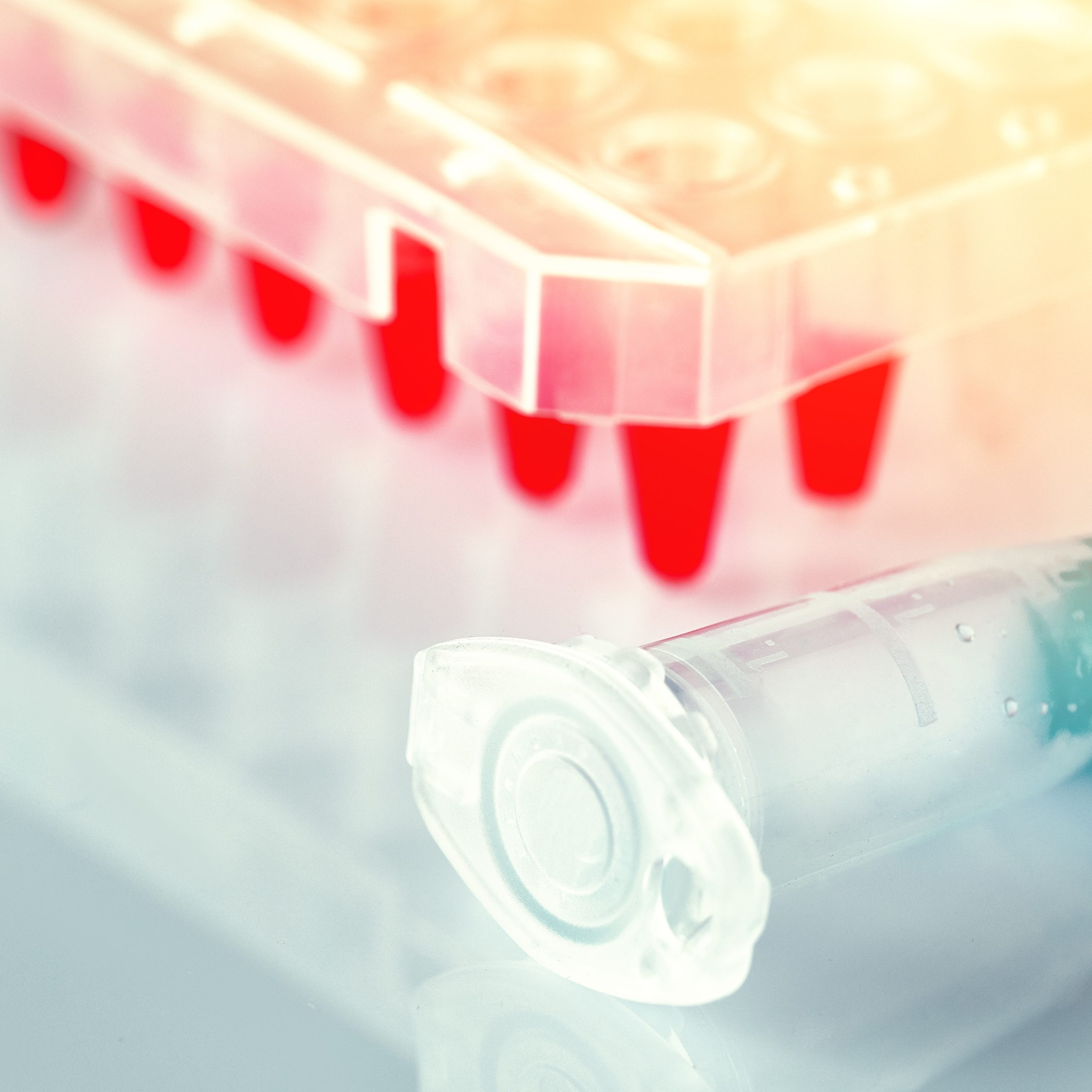 List of Laboratories Providing PCR Test Certificates