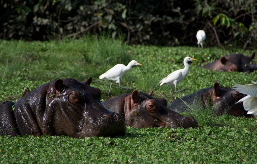 Guinea Bissau – Islands and Wildlife – 10 Days