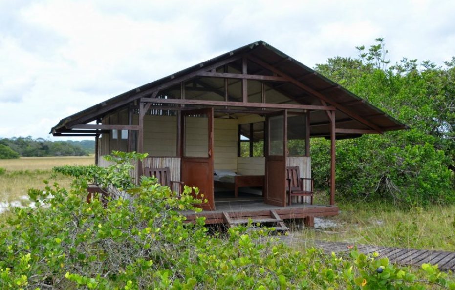 Tassi Camp