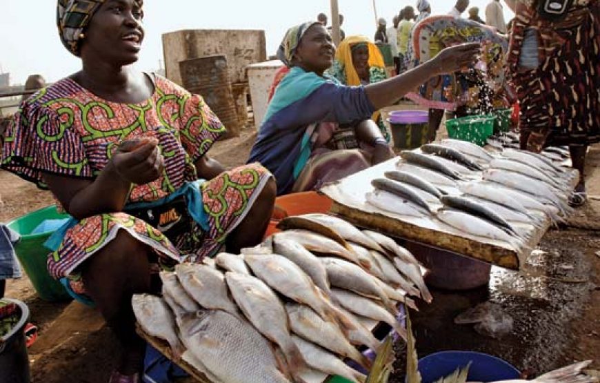 A Taste of Guinea-Bissau – 4 Days
