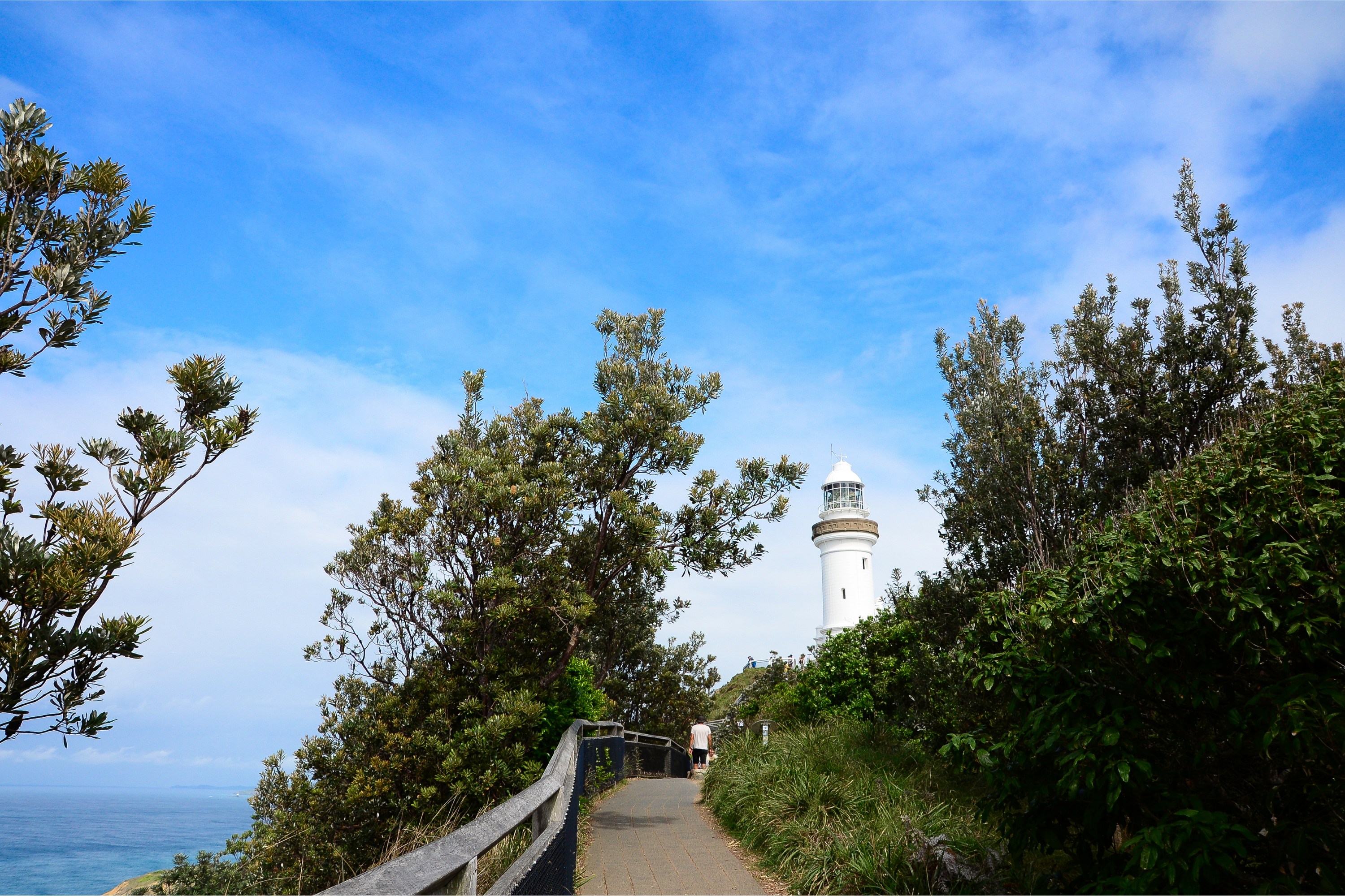 Day 12: CAPE POINT  & WINE COUNTRY TOUR