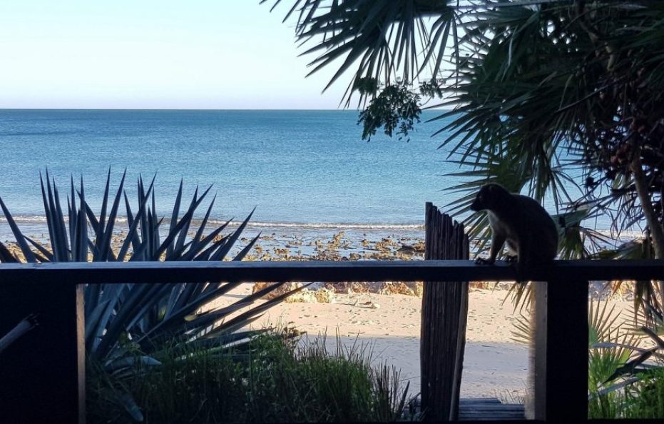 Anjajavy Le Lodge