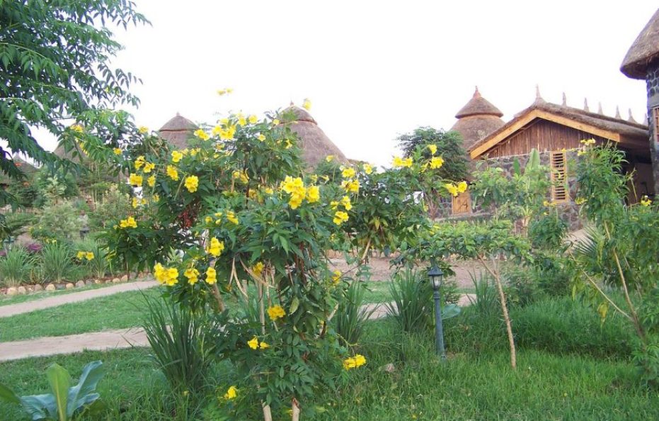 Paradise Lodge