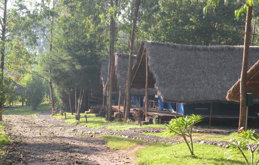 Eco-Omo Lodge