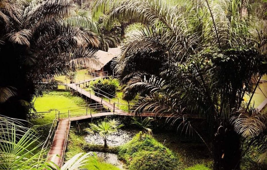 Oveng Eco Lodge
