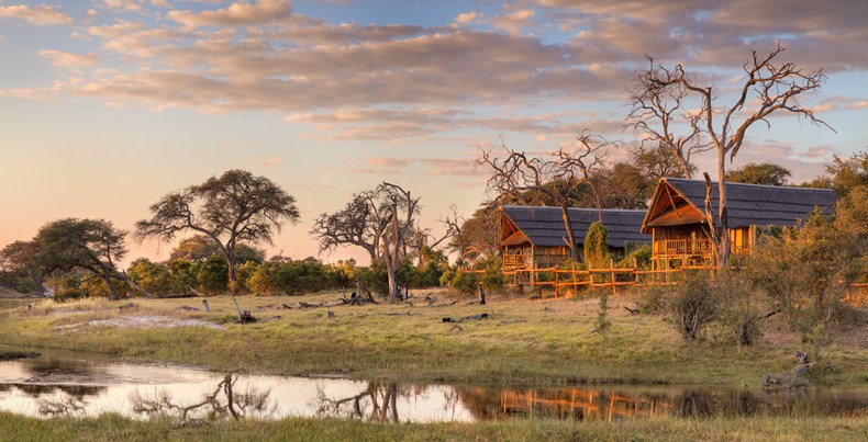Day 12 Okavango Delta - Maun - Johannesburg