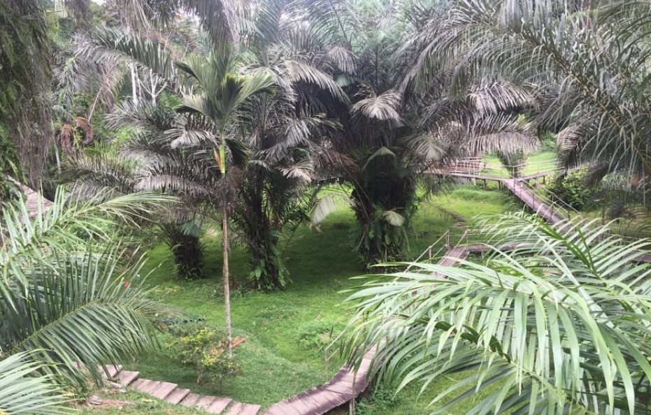 Oveng Eco Lodge