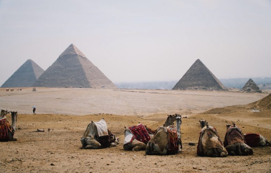 Historic Egypt & Ghana Tour, 12 Days