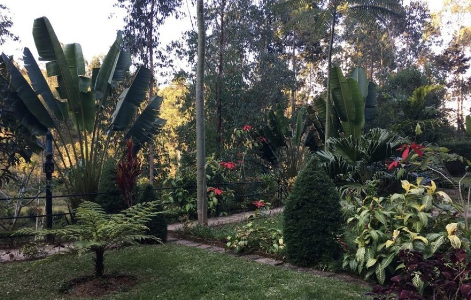 Andasibe Hotel