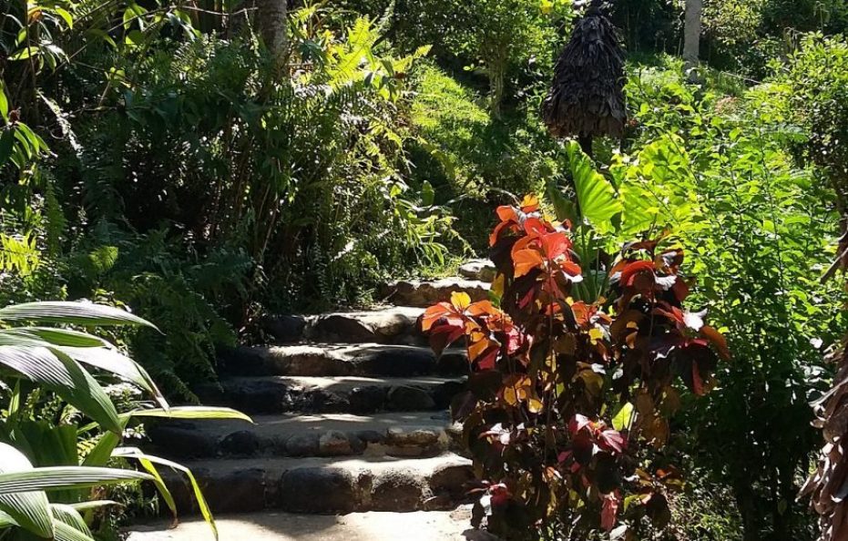 Sakatia Lodge
