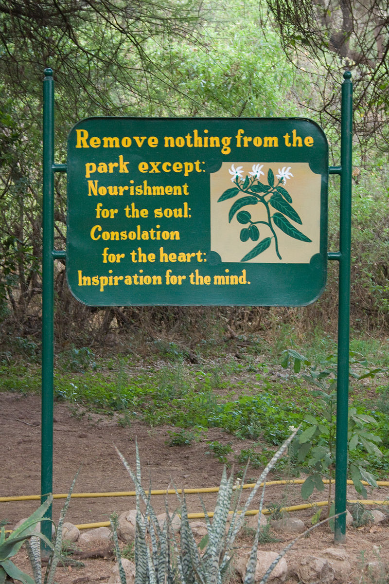 Day 6 Serengeti National Park - 