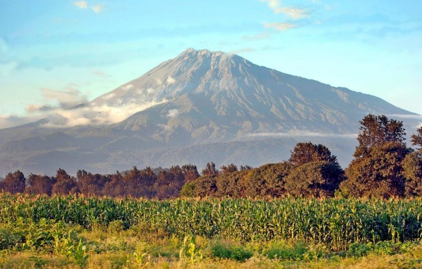 Affordable Tanzania Safari  – 11 Days