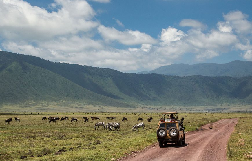 Tanzania Safari Adventure –  11  Days
