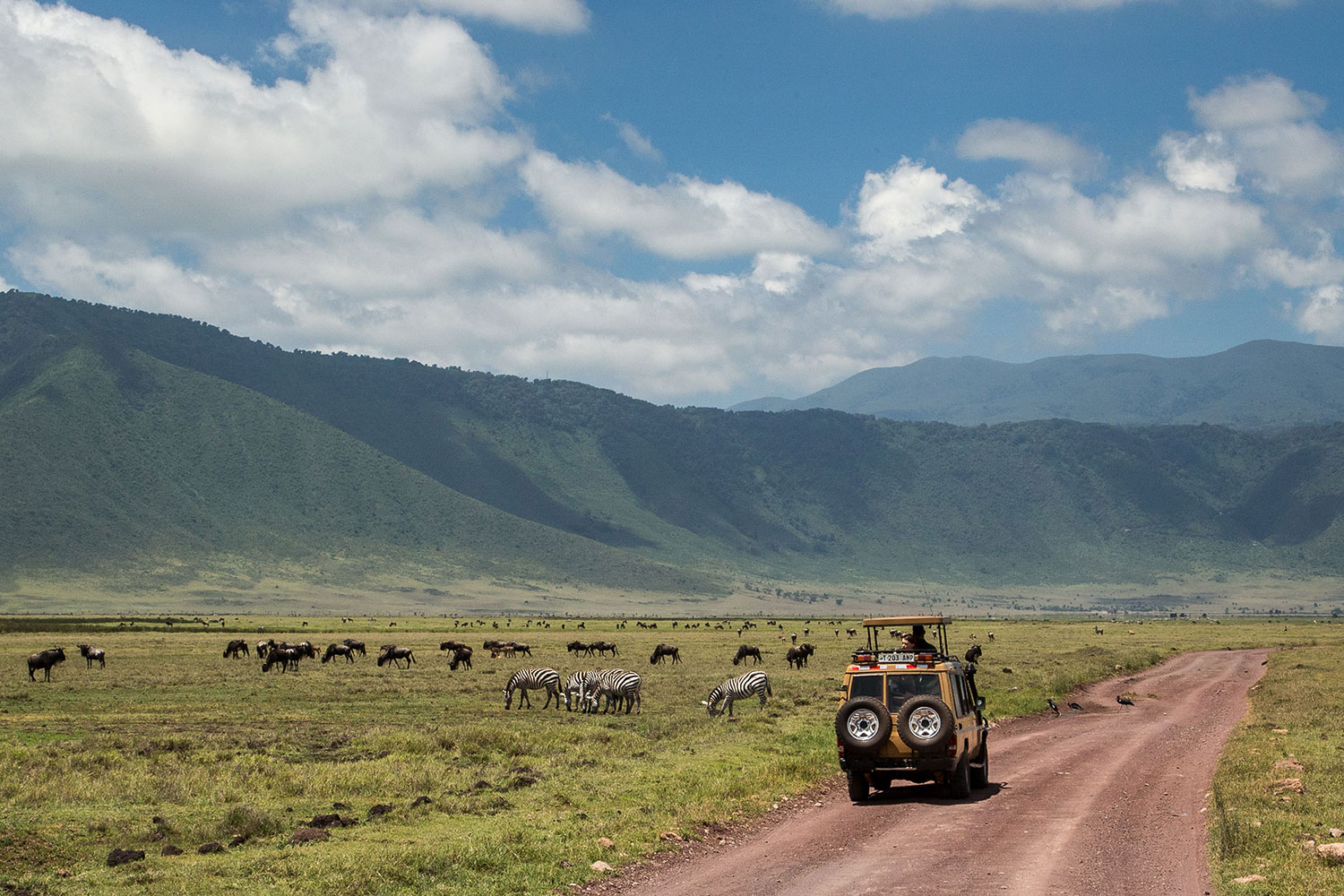 Day 4 Ngorongoro Crater