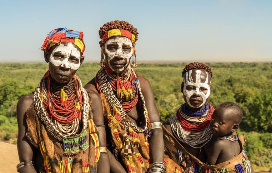 Tour of Ethiopia, Danakil, Harar, Bale and Awash National Park – 10 Days