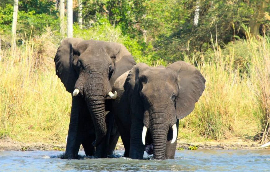 Tanzania & Zanzibar Deluxe -12 Days
