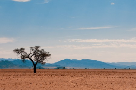 Namib Desert,