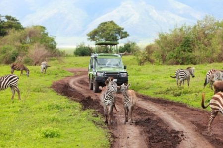 Tanzania Classic Safari – 7 Days
