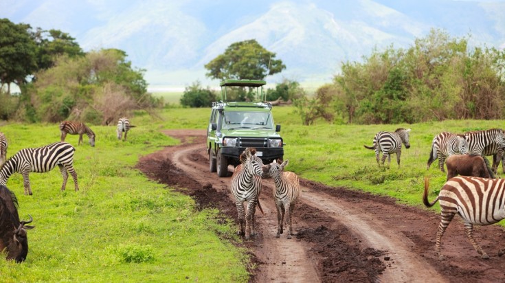 Day 5 Serengeti National Park