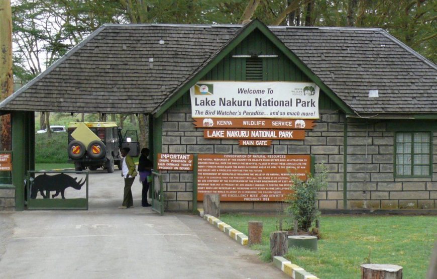 Kenya Trails Safari – Amboseli & Maasai Mara National Park – 7 Days