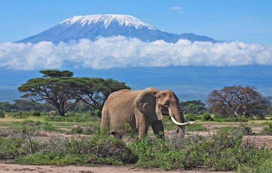 Kenya Big 5 Wildlife Safari – 9 Days