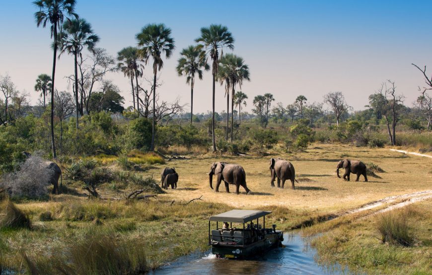Botswana Jacana Safari –  11 Days
