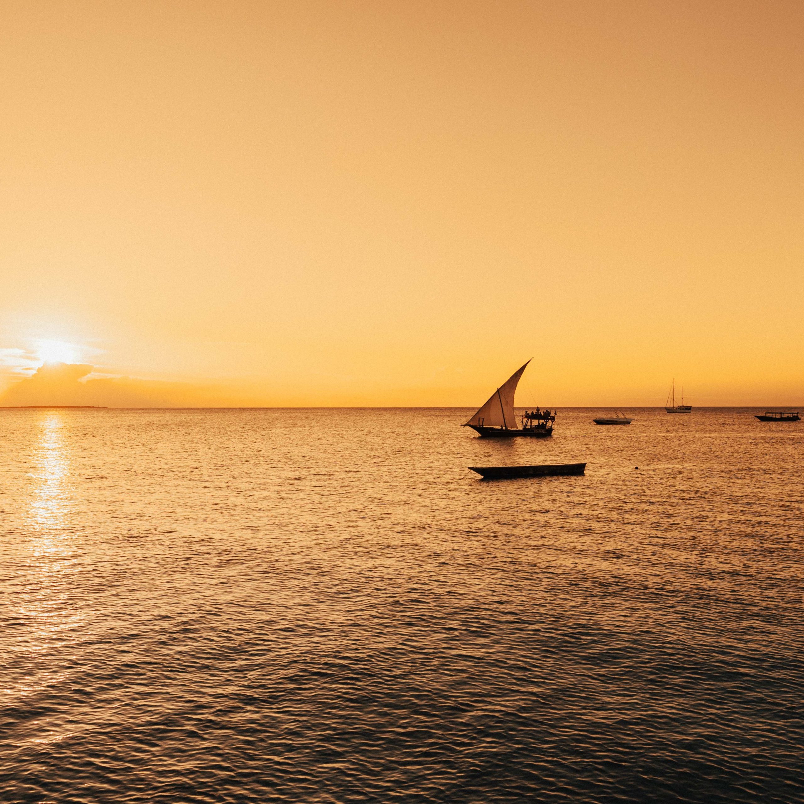 Day 11 Zanzibar - Dhow Sunset Cruise