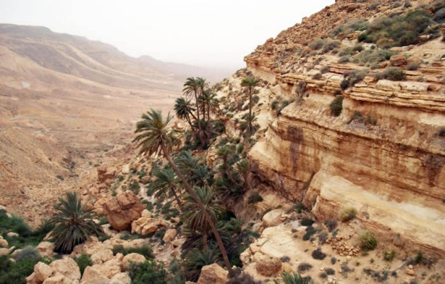 Discover The World Heritage Sites Of Libya – 12 Days