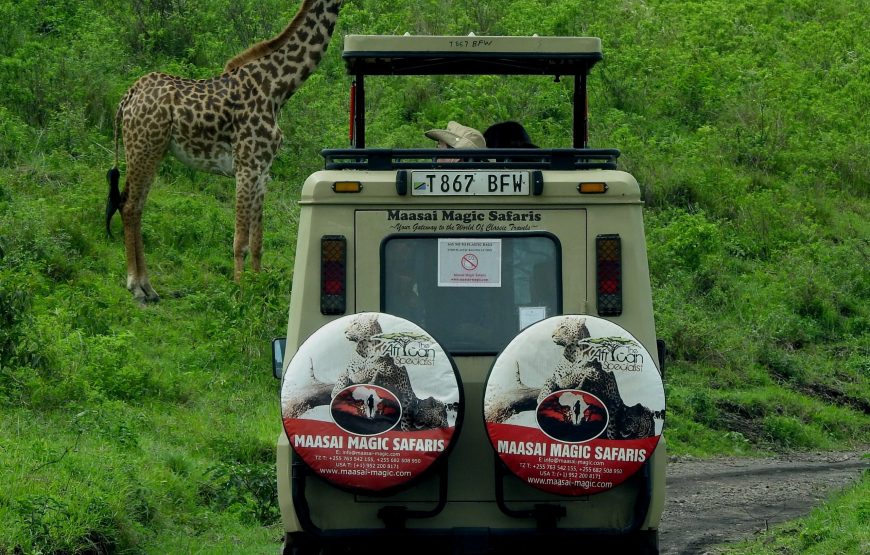 Tanzania Deluxe Safari – 9 Days
