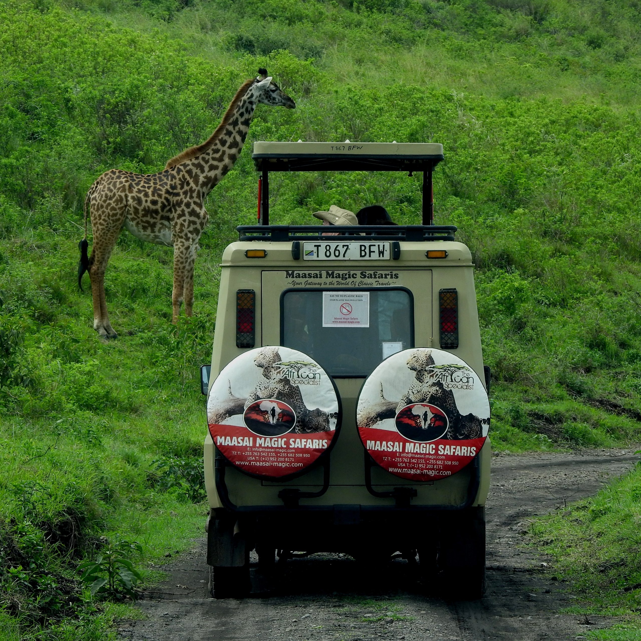 Day 7 Serengeti National Park