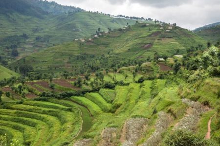 Discover Rwanda –  5 Days