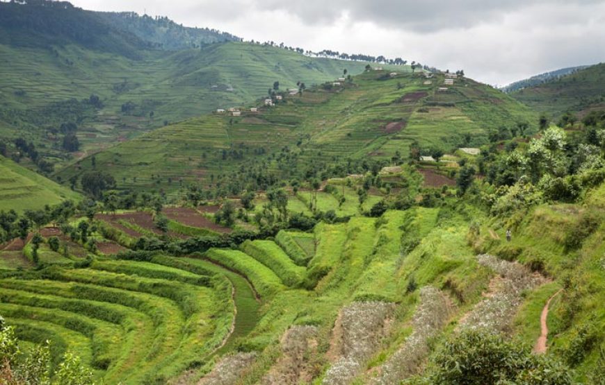 A Taste of Rwanda – 4 Days