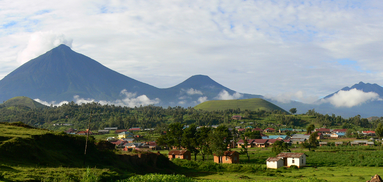 Day 8 Virunga Mountain