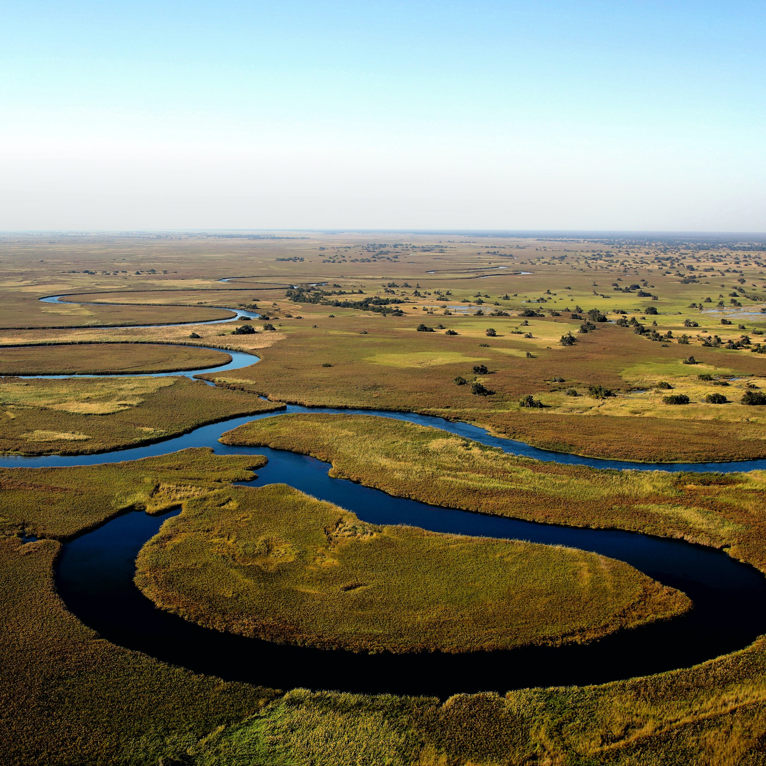 Day 1 Arrive Johannesburg- Maun - Okavango Delta - Kaparota