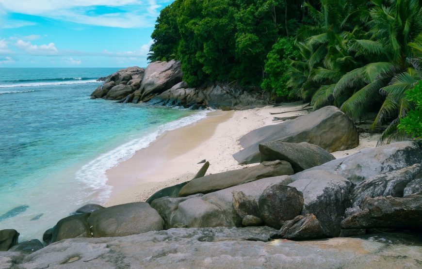 Seychelles Iles D’Amour  – 8 Days