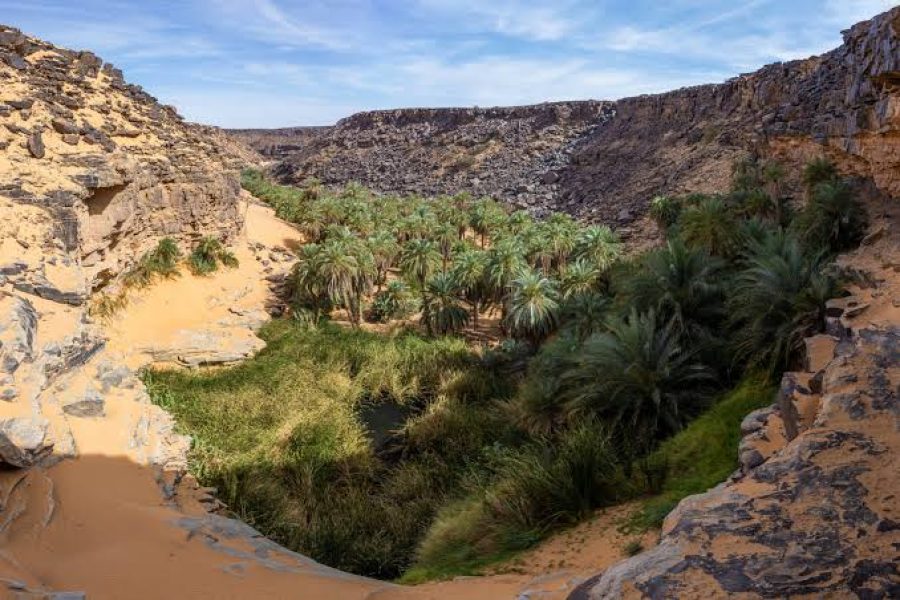 Explore Mauritania – 8 Days