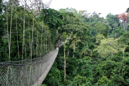 Kakum Canopy Walk