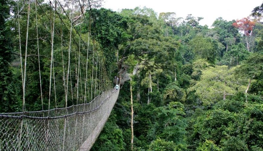 Kakum Canopy Walk