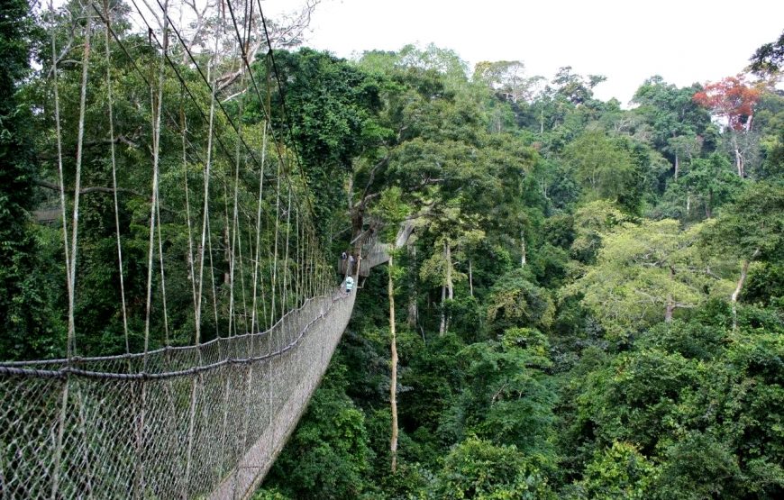 Kakum Canopy Walk