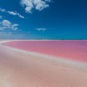 Pink Lake Senegal - continent Tours 