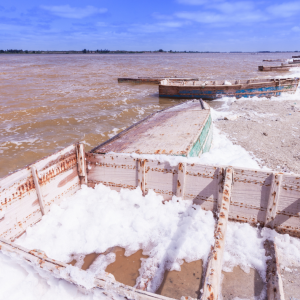 Salt Forming on Canoes - Pink lake Senegal 