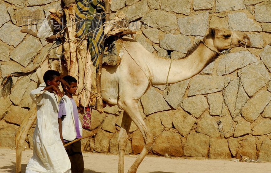 Discover Eritrea – 7 Days