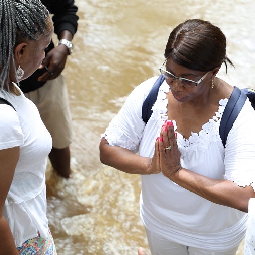 Ancestry Travel Continent Tours