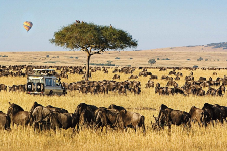 Kenya Safari Adventure, 9 Days