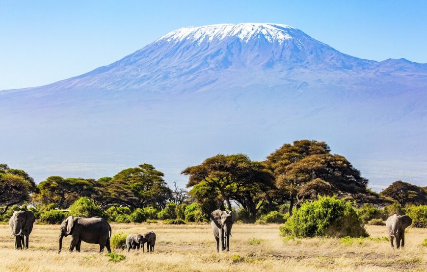 Tanzania Safari & Zanzibar – 9 Days